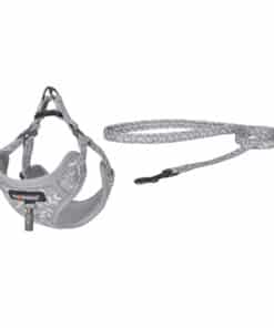 Dogness walking set leash 1,5m+harness for dog (light gray)