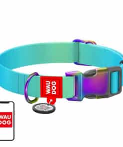 Nylon collar with QR code for Waudog gradient dog, blue , size XL