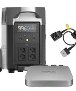 Bundle EcoFlow Delta Pro + microinverter PowerStream 800W