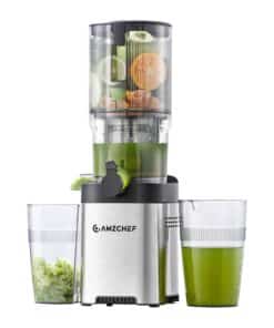 AMZCHEF CE-ZM1902B-SV Slow Juicer